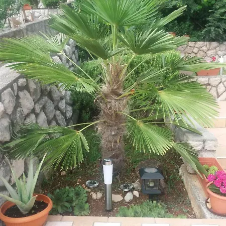 Appartamento Rb Omišalj