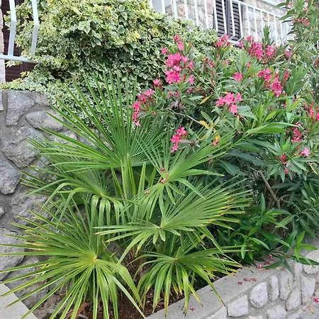 Apartament Rb