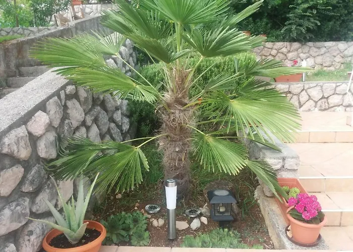 Apartment Rb Omisalj